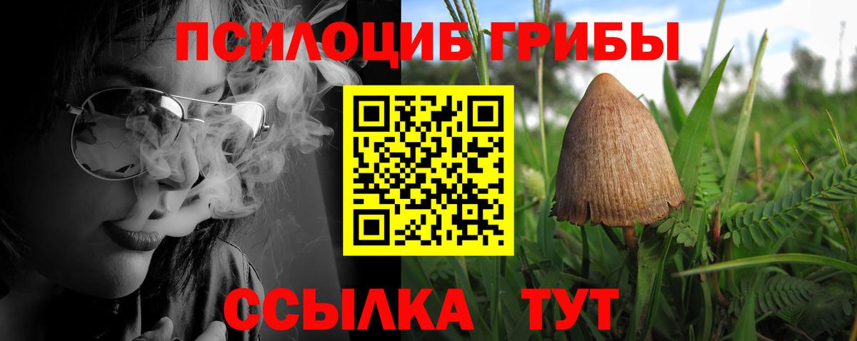 Галлюциногенные грибы мицелий  хочу   Тамбов  Вход с VPN 